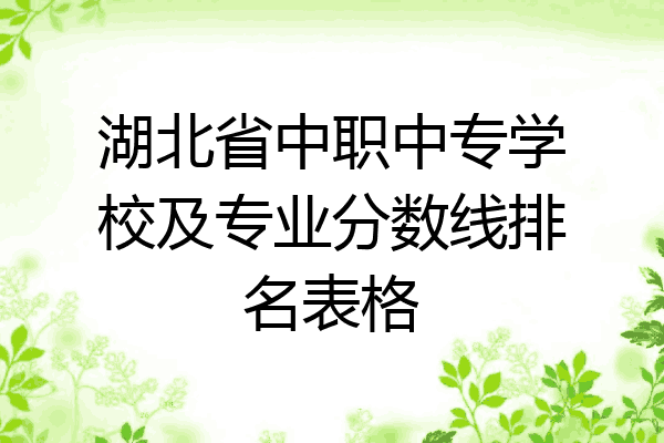 湖北省中职中专学校及专业分数线排名表格