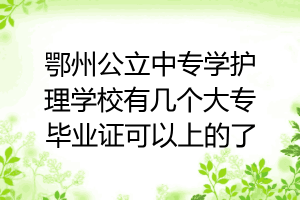 鄂州公立中专学护理学校有几个大专毕业证可以上的了