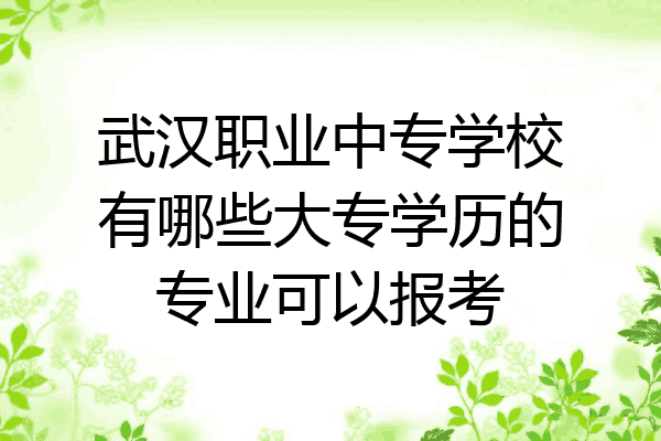 武汉职业中专学校有哪些大专学历的专业可以报考
