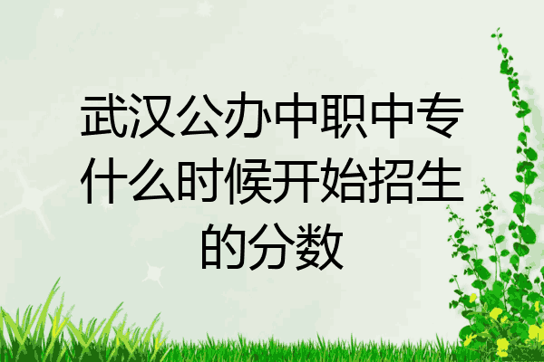 武汉公办中职中专什么时候开始招生的分数