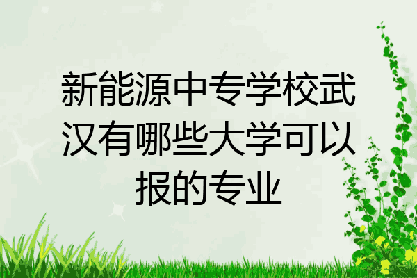 新能源中专学校武汉有哪些大学可以报的专业
