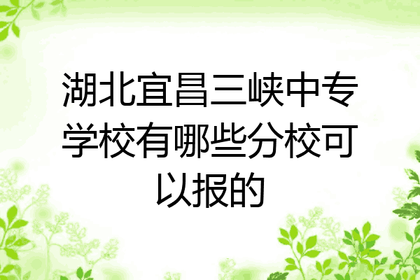 湖北宜昌三峡中专学校有哪些分校可以报的