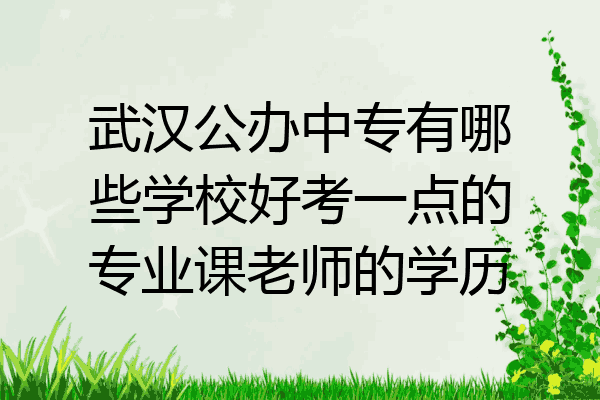 武汉公办中专有哪些学校好考一点的专业课老师的学历