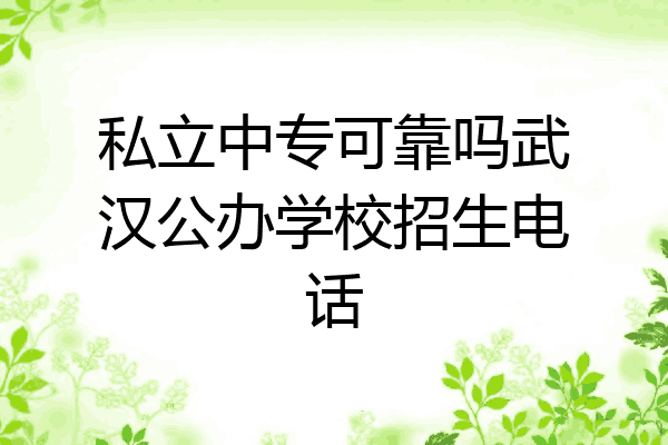 私立中专可靠吗武汉公办学校招生电话