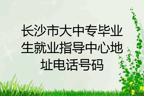 长沙市大中专毕业生就业指导中心地址电话号码