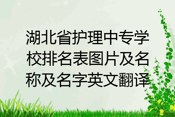 湖北省护理中专学校排名表图片及名称及名字英文翻译