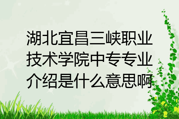 湖北宜昌三峡职业技术学院中专专业介绍是什么意思啊