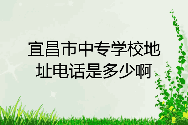 宜昌市中专学校地址电话是多少啊