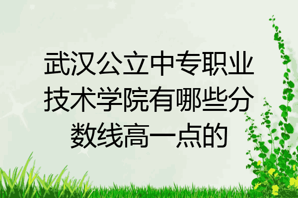 武汉公立中专职业技术学院有哪些分数线高一点的