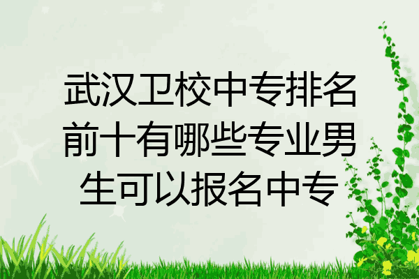 武汉卫校中专排名前十有哪些专业男生可以报名中专