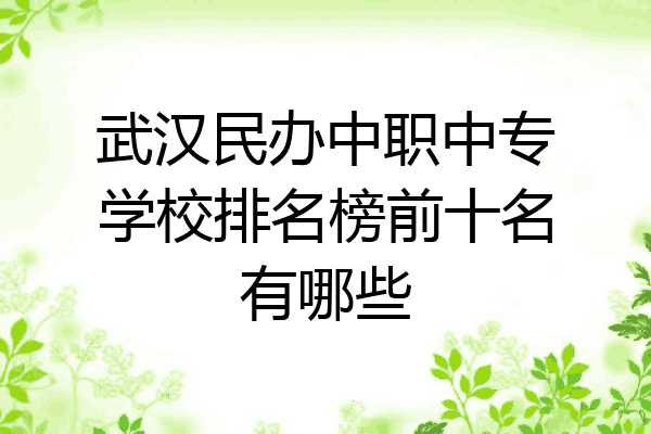 武汉民办中职中专学校排名榜前十名有哪些