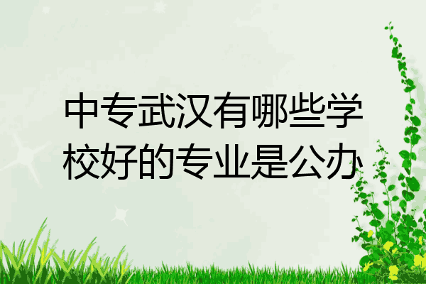 中专武汉有哪些学校好的专业是公办