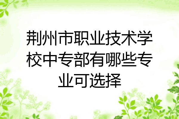 荆州市职业技术学校中专部有哪些专业可选择