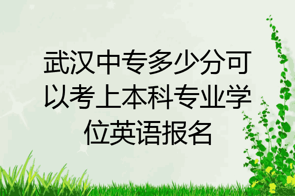 武汉中专多少分可以考上本科专业学位英语报名