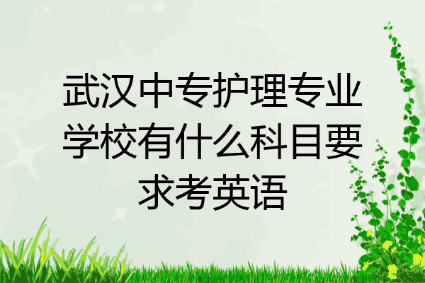 武汉中专护理专业学校有什么科目要求考英语