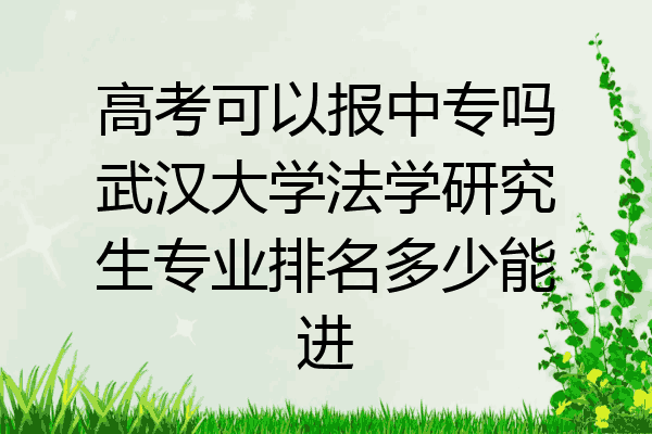 高考可以报中专吗武汉大学法学研究生专业排名多少能进
