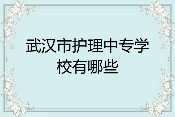 武汉市护理中专学校有哪些