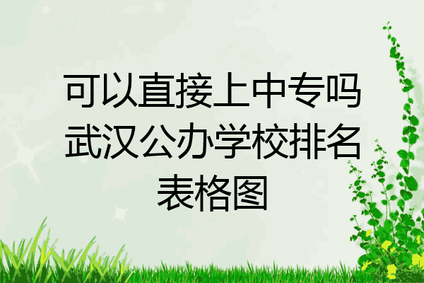 可以直接上中专吗武汉公办学校排名表格图