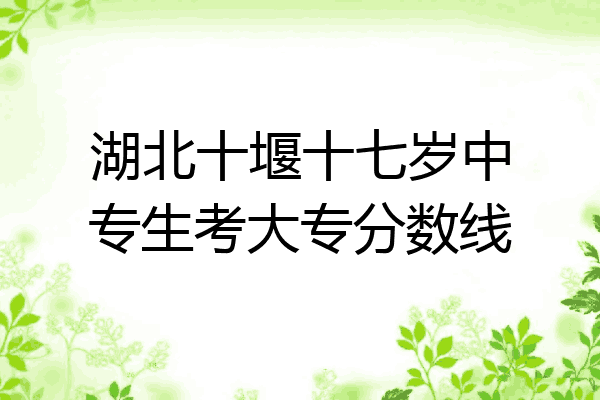 湖北十堰十七岁中专生考大专分数线