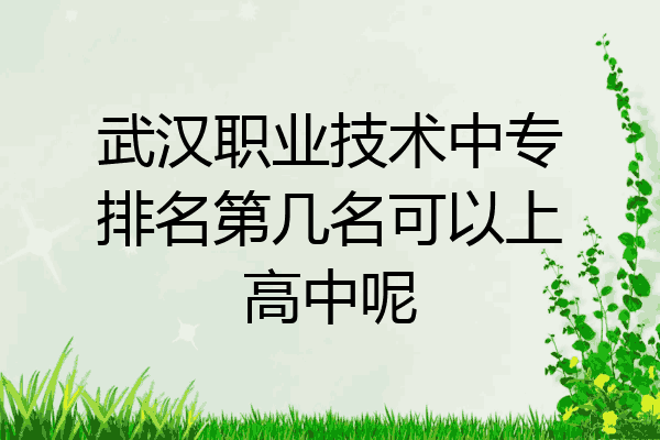 武汉职业技术中专排名第几名可以上高中呢