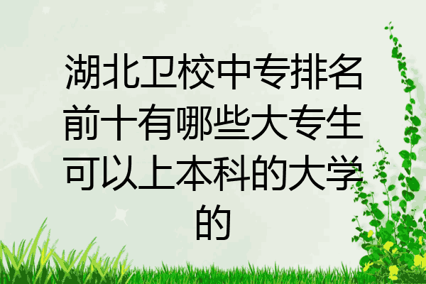 湖北卫校中专排名前十有哪些大专生可以上本科的大学的