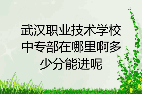 武汉职业技术学校中专部在哪里啊多少分能进呢