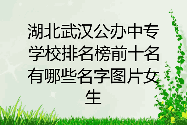 湖北武汉公办中专学校排名榜前十名有哪些名字图片女生