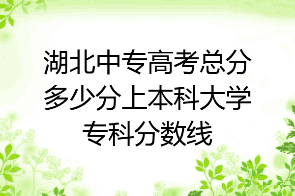 湖北中专高考总分多少分上本科大学专科分数线