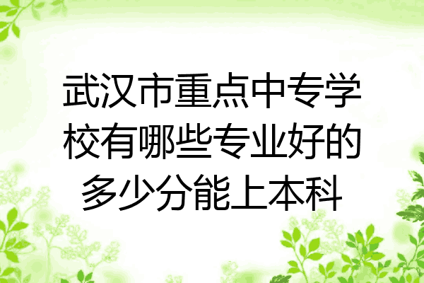 武汉市重点中专学校有哪些专业好的多少分能上本科