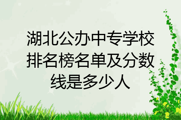 湖北公办中专学校排名榜名单及分数线是多少人