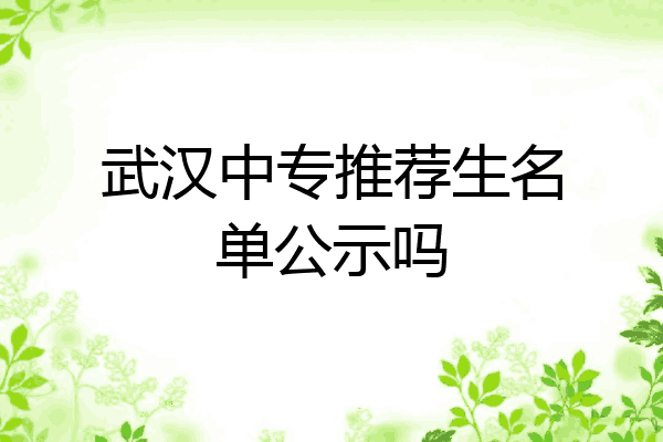 武汉中专推荐生名单公示吗