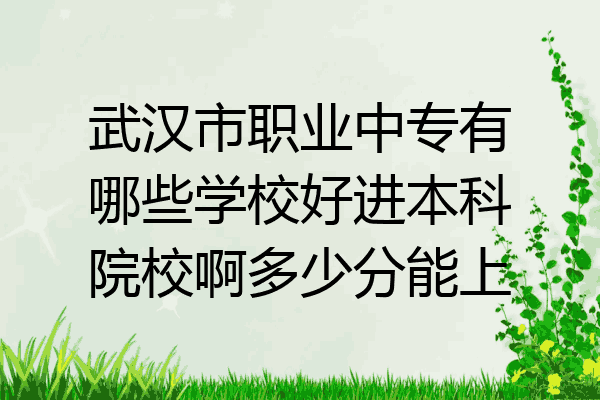 武汉市职业中专有哪些学校好进本科院校啊多少分能上