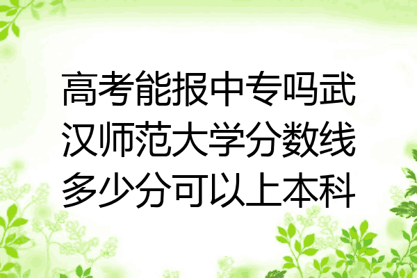 高考能报中专吗武汉师范大学分数线多少分可以上本科