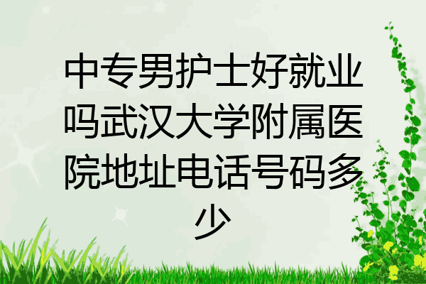 中专男护士好就业吗武汉大学附属医院地址电话号码多少