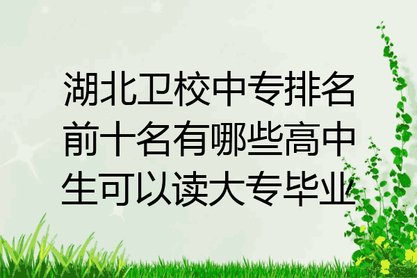 湖北卫校中专排名前十名有哪些高中生可以读大专毕业