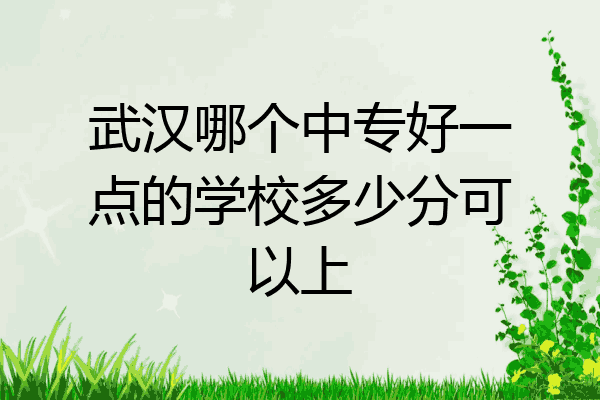 武汉哪个中专好一点的学校多少分可以上