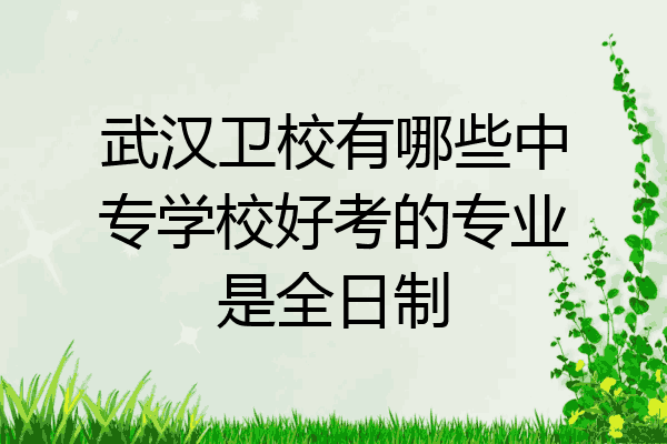 武汉卫校有哪些中专学校好考的专业是全日制