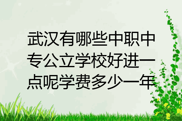 武汉有哪些中职中专公立学校好进一点呢学费多少一年