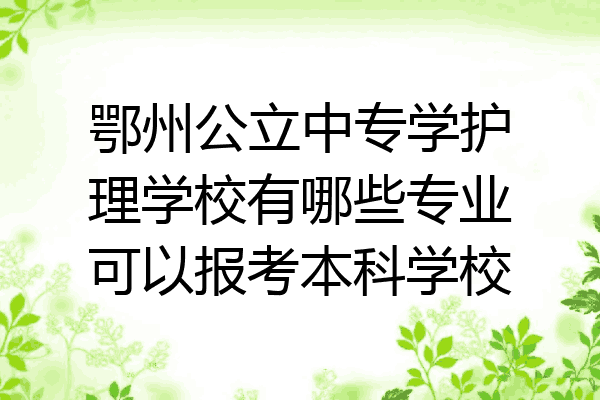 鄂州公立中专学护理学校有哪些专业可以报考本科学校