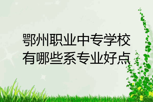 鄂州职业中专学校有哪些系专业好点