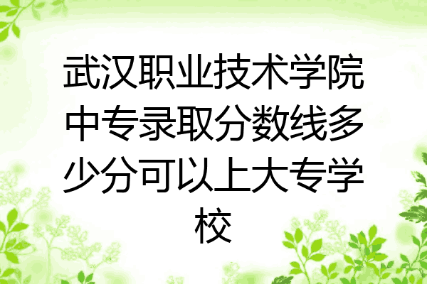 武汉职业技术学院中专录取分数线多少分可以上大专学校