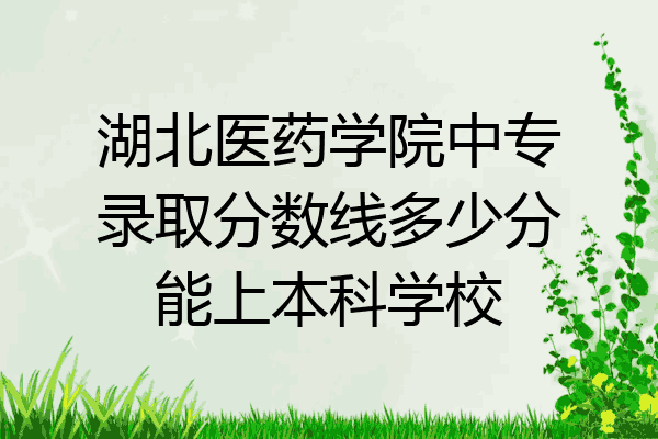 湖北医药学院中专录取分数线多少分能上本科学校