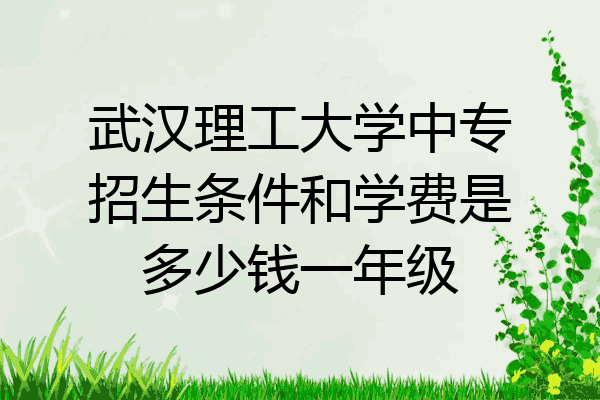 武汉理工大学中专招生条件和学费是多少钱一年级