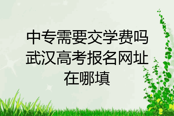中专需要交学费吗武汉高考报名网址在哪填