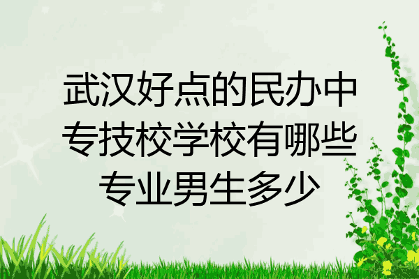 武汉好点的民办中专技校学校有哪些专业男生多少