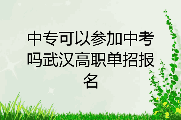 中专可以参加中考吗武汉高职单招报名