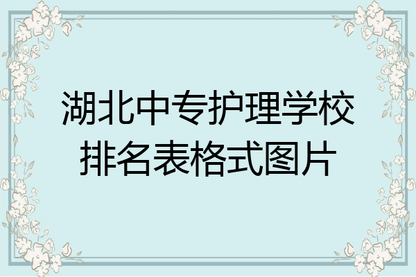 湖北中专护理学校排名表格式图片