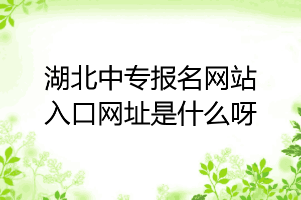 湖北中专报名网站入口网址是什么呀