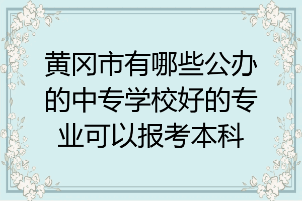 黄冈市有哪些公办的中专学校好的专业可以报考本科