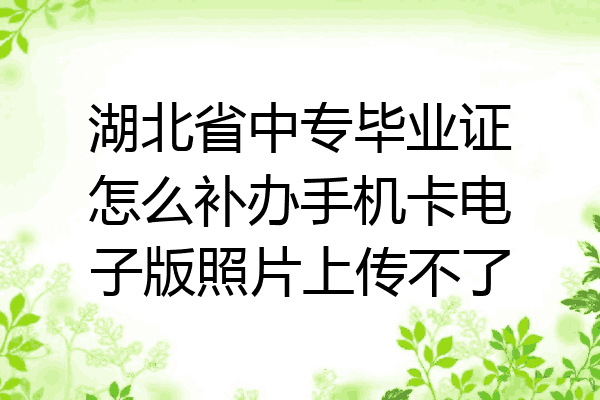 湖北省中专毕业证怎么补办手机卡电子版照片上传不了